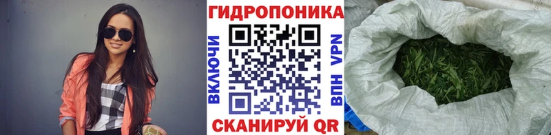 МЕТАДОН Ковров