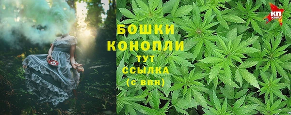 дживик Абаза