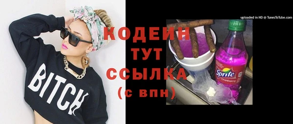 дживик Абаза