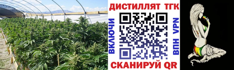 ТГК жижа  магазин    Ковров 