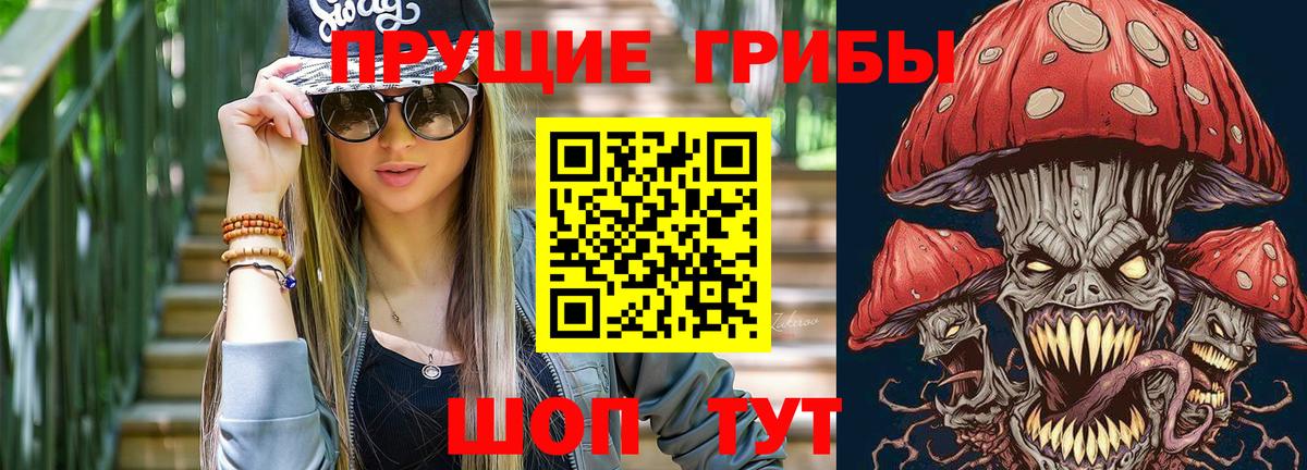 Ковров  Галлюциногенные грибы Psilocybine cubensis  Вход с VPN 